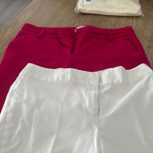 New York’s and Company Crops Pants